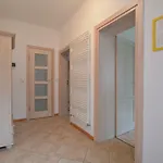 Rybak 3